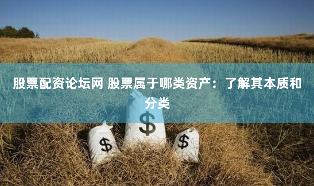 股票配资论坛网 股票属于哪类资产:了解其本质和分类
