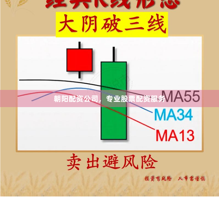 朝阳配资公司，专业股票配资服务